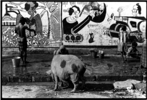 Image shows children, a man, and a woman on the sidewalk in front of a CPI(M) mural (Communist Party India Marxist). A large pig stands in the street