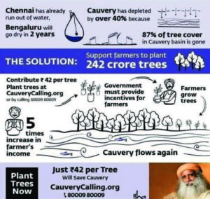 Cauvery Calling information poster. The poster states that Cauvery has depleted by over 40% because 87% of the tree cover in the Cauvery Basin is gone. The poster asks individuals to donate to replanting trees in the basin. 