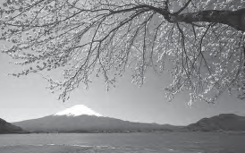 photo of a mountain in the distance from a water